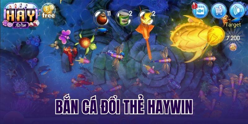 Bắn Cá Đổi Thẻ Haywin - Bảng Tỷ Lệ Quy Đổi Và Hạn Mức