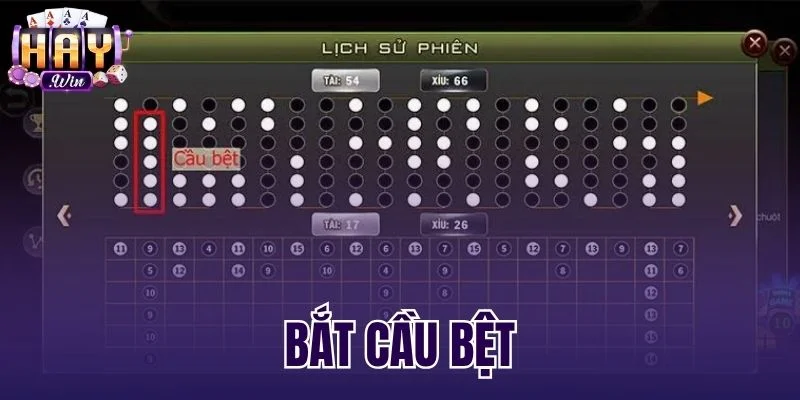 Bắt Cầu Bệt Chuẩn Xác - Quản Trị Vốn Kỷ Luật Tại Haywin