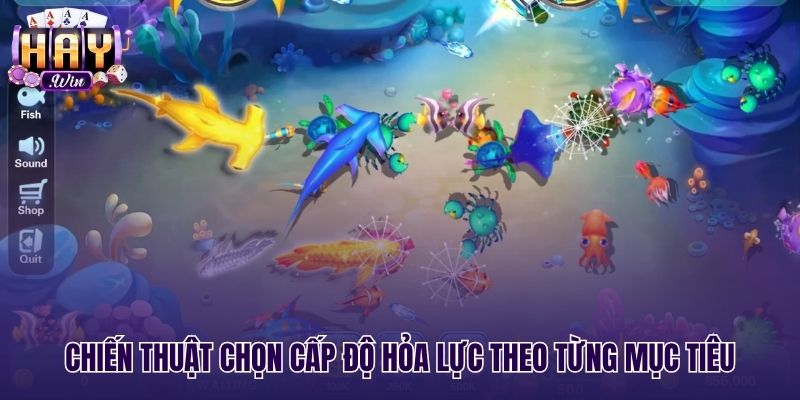 Chiến thuật chỉnh cấp hỏa lực chuẩn xác khi săn cá mập