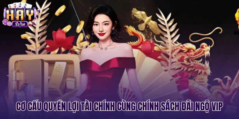 Chính sách đãi ngộ tài chính cùng đặc quyền VIP Haywin