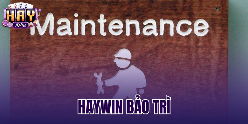 Haywin Bảo Trì - Thời Gian Khôi Phục Và Giữ 100% Số Dư