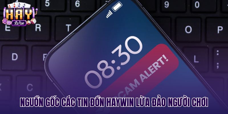 Sự thật Haywin lừa đảo không qua các phản ánh giao dịch
