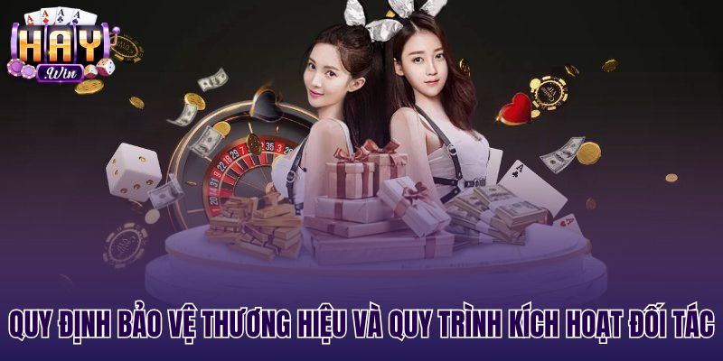 Quy trình xét duyệt hồ sơ đối tác đại lý Haywin