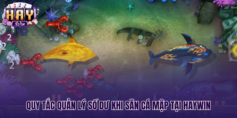 Quy tắc kiểm soát số dư an toàn khi săn cá mập