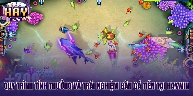Cơ chế cộng điểm và quy đổi thưởng Bắn cá tiên Haywin