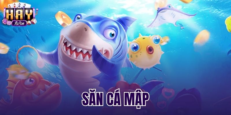Săn Cá Mập - Chiến Thuật Xả Đạn Chuẩn Xác Tại Haywin
