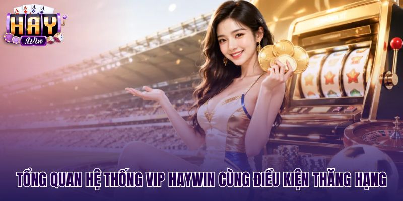 Bảng tiêu chuẩn thăng cấp VIP Haywin theo doanh số cược